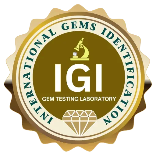 igi logo