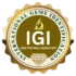 igi logo